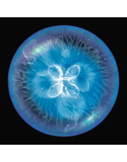 Osmos for iPad ios iPadOS Appstore +БОНУС