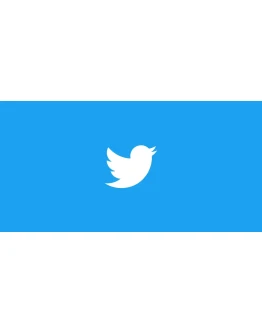 Twitter Worldwide VCC Card Visa For Verification