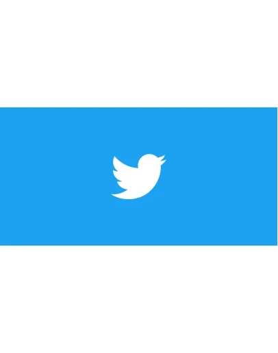 Twitter Worldwide VCC Card Visa For Verification