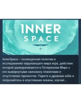 InnerSpace STEAM KEY RU+CIS СТИМ КЛЮЧ ЛИЦЕНЗИЯ
