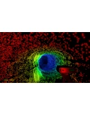 Scanner Sombre АВТОДОСТАВКА STEAM РОССИЯ