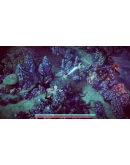 Nanotale Typing Chronicles АВТОДОСТАВКА STEAM РОССИЯ