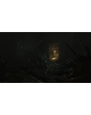 Amnesia: Rebirth / Подарки Amnesia: Rebirth / Подарки