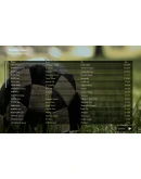 Retro Football Boss АВТОДОСТАВКА STEAM GIFT РОССИЯ