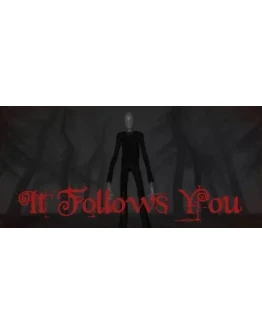 It follows you АВТОДОСТАВКА STEAM GIFT RU