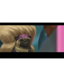 Paradigm АВТОДОСТАВКА STEAM GIFT FOR RUSSIA