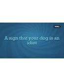 Quiplash 2 InterLASHional АВТОДОСТАВКА STEAM РОССИЯ