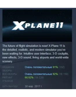 X-Plane 11 АВТОДОСТАВКА STEAM РОССИЯ