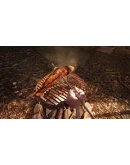 Hellsplit: Arena АВТОДОСТАВКА STEAM GIFT РОССИЯ