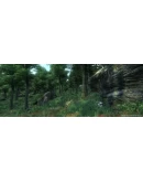 The Elder Scrolls IV: Oblivion Year Edition GOG АККАУНТ