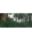 The Elder Scrolls IV: Oblivion Year Edition GOG АККАУНТ