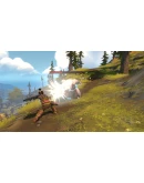 Pine (Steam key / Region Free)