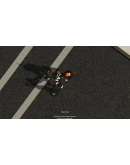 Sub Rosa АВТОДОСТАВКА STEAM GIFT РОССИЯ