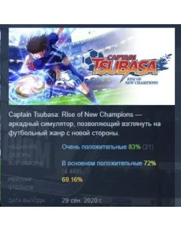 Captain Tsubasa: Rise of New Champions STEAM РОССИЯ Captain Tsubasa: Rise of New Champions STEAM РОССИЯ