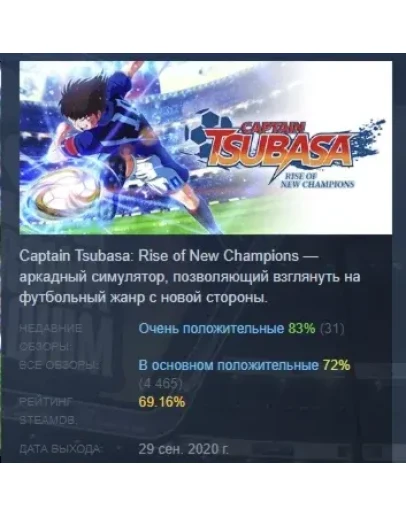 Captain Tsubasa: Rise of New Champions STEAM РОССИЯ