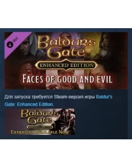 Baldur's Gate: Faces of Good and Evil DLC STEAM РОССИЯ
