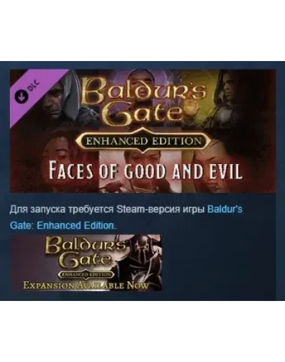 Baldur's Gate: Faces of Good and Evil DLC STEAM РОССИЯ