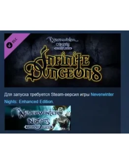 Neverwinter Nights: Infinite Dungeons STEAM GIFT РОССИЯ