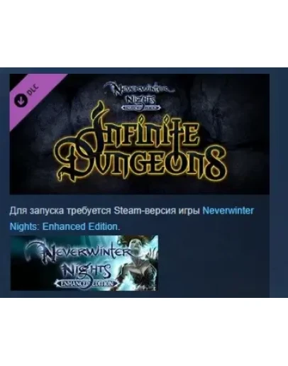 Neverwinter Nights: Infinite Dungeons STEAM GIFT РОССИЯ