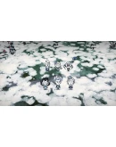 Don't Starve Together: Snowfallen Survivors Chest STEAM