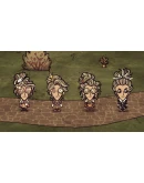 Don't Starve Together: Wanda Deluxe Chest DLC STEAM РФ