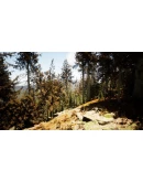 Gold Hunter АВТОДОСТАВКА STEAM GIFT РОССИЯ