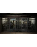 Black Mirror III АВТОДОСТАВКА STEAM GIFT РОССИЯ