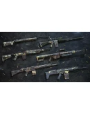 Insurgency: Sandstorm - Hunter Weapon Skin Set РОССИЯ