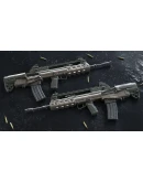 Insurgency: Sandstorm - Two-Tone Weapon Skin Set РОССИЯ