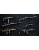 Insurgency: Sandstorm True Grit Weapon Skin Set РОССИЯ Insurgency: Sandstorm True Grit Weapon Skin Set РОССИЯ