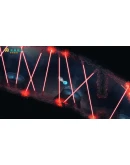 MO:Astray (Steam Key Region Free / GLOBAL)