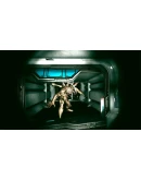 PREDATOR AND WRECK STEAM GIFT RU