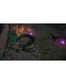 Pathfinder: Kingmaker The Wildcards Steam Ключ +Бонус