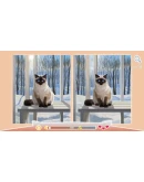 Cute Cats 3 АВТОДОСТАВКА STEAM GIFT РОССИЯ