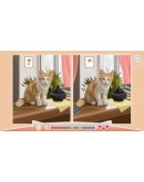 Cute Cats 3 АВТОДОСТАВКА STEAM GIFT РОССИЯ