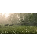 Red Dead Redemption 2: Standart Edition (Steam RU) Red Dead Redemption 2: Standart Edition (Steam RU)