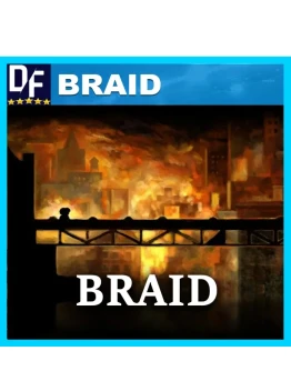 Braid STEAM Аккаунт