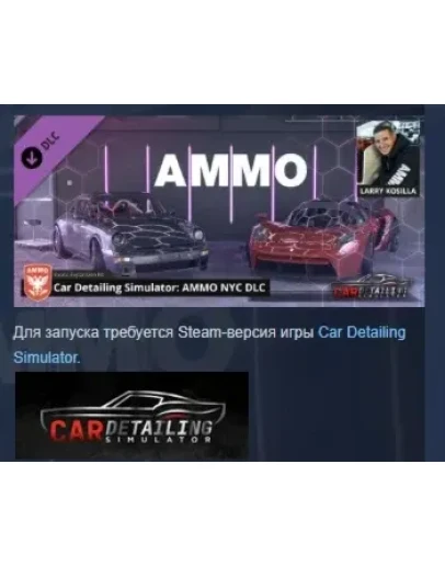 Car Detailing Simulator - AMMO NYC DLC STEAM РОССИЯ