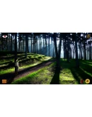 Lost in Paradise АВТОДОСТАВКА STEAM РОССИЯ