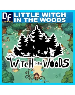 Little Witch in the Woods STEAM Аккаунт