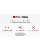 12 МЕСЯЦЕВ YOUTUBE PREMIUM НА ВАШ АККАУНТ АВТО