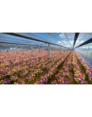 Captain of Industry - Supporter pack DLC STEAM GIFT