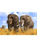 Wildlife Park 3 АВТОДОСТАВКА STEAM GIFT РОССИЯ