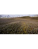 Ultimate Epic Battle Simulator 2/STEAM АККАУНТ/ГАРАНТИЯ