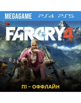 Far Cry 4 (PS4/PS5/RUS) П1 Оффлайн