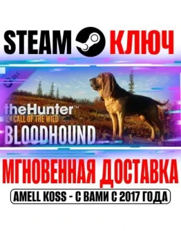 theHunter Call of the Wild Bloodhound Steam Ключ РФ+Мир