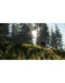 theHunter Call of the Wild Bloodhound Steam Ключ РФ+Мир