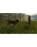 theHunter Call of the Wild Bloodhound Steam Ключ РФ+Мир