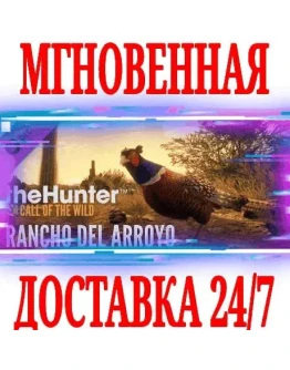 theHunter Call of the Wild Rancho del ArroyoSteamKey