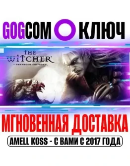 The Witcher: Enhanced Edition Director's Cut Ключ GOG